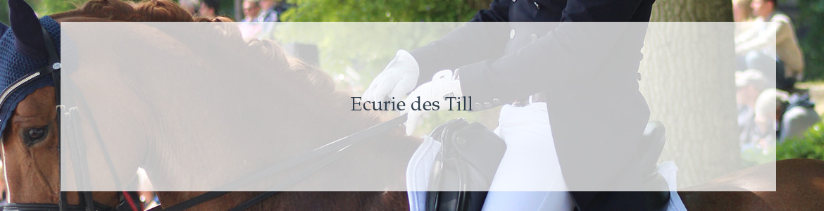 Ecurie des Till